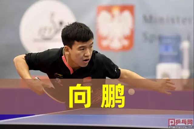 本场比赛 本场比赛