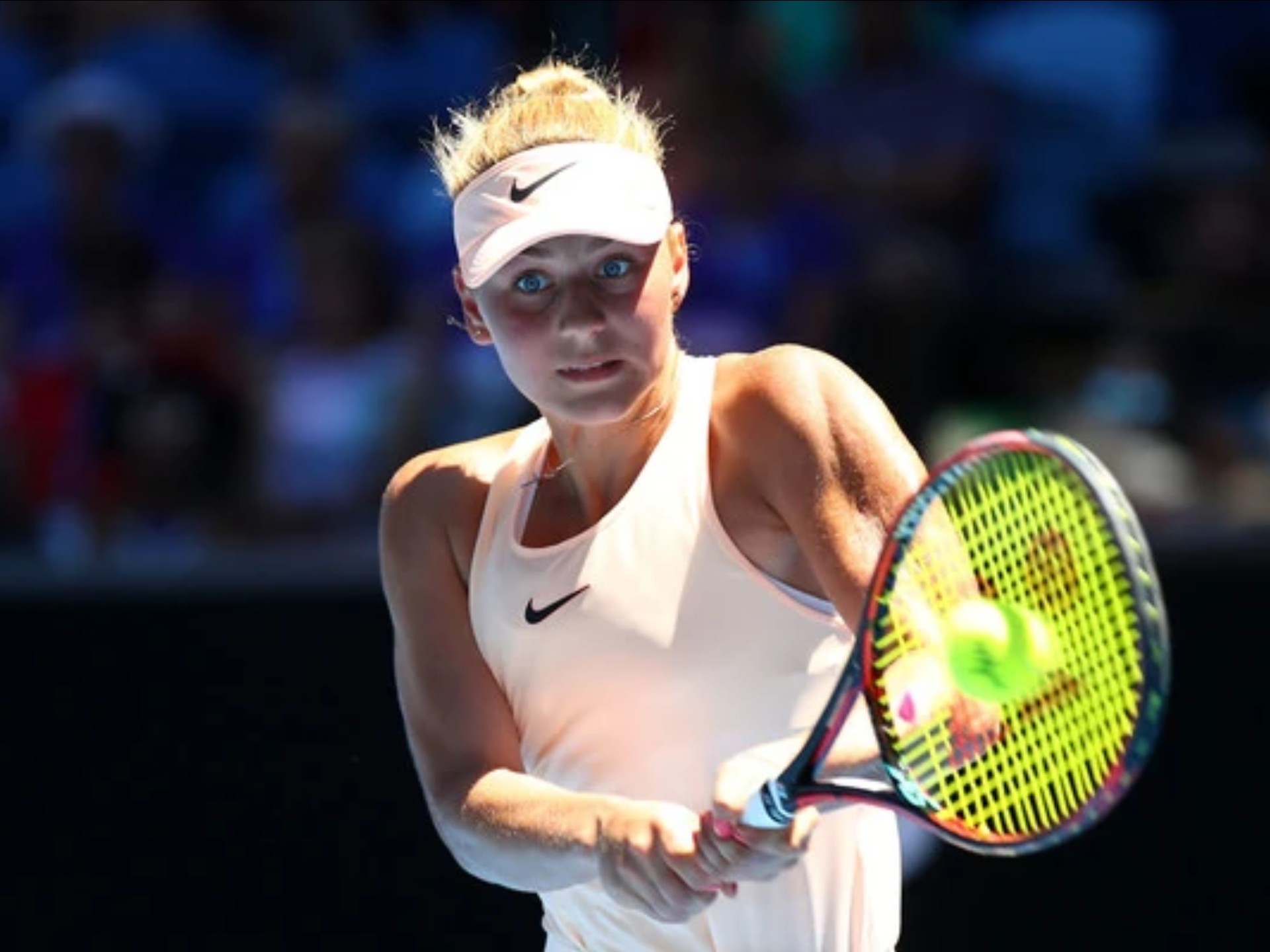 不得不提主 不得不提主